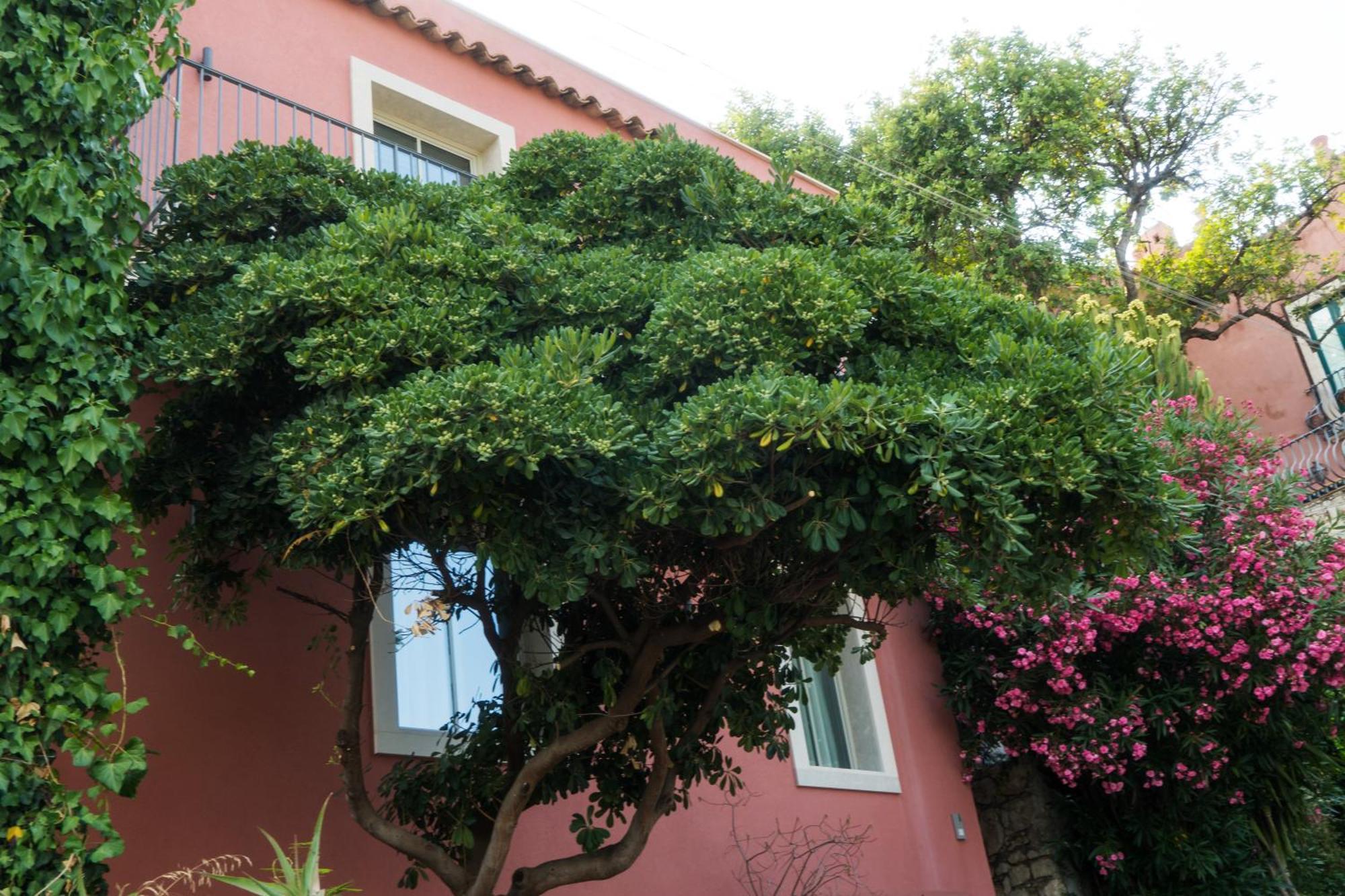 The Charming House Daire Taormina Dış mekan fotoğraf