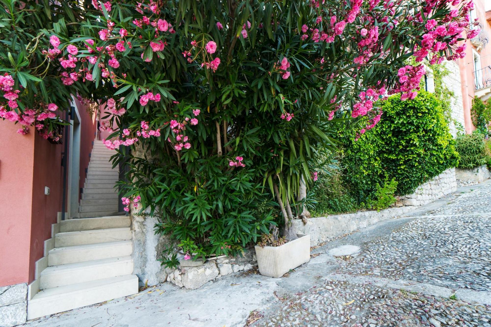 The Charming House Daire Taormina Dış mekan fotoğraf